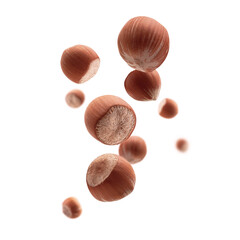 Ripe hazelnuts levitate on a white background