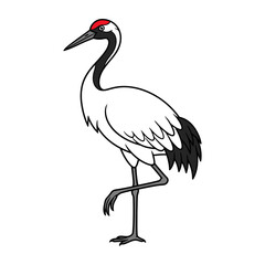 Fototapeta premium Illustration of a Red Crowned Crane.