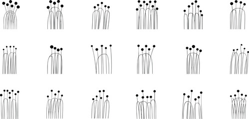 Abstract line art drawings of whimsical plants and flowers collection