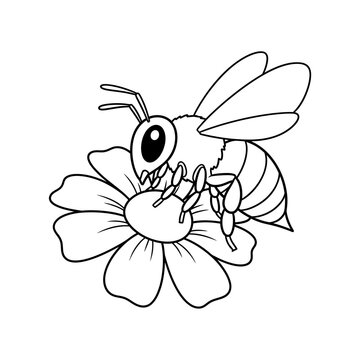 Bee Collecting Nectar from Flower Illustration.