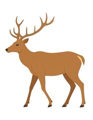 Brown deer illustration walking, antlers prominent, isolated on white