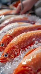 Fresh Red Fish on Ice at Seafood Market