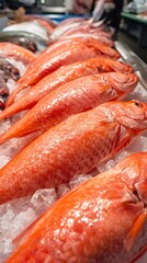 Fresh Red Fish on Ice at Seafood Market