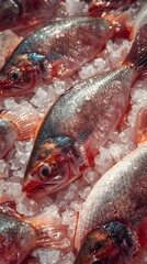 Fresh Red Fish on Ice at Seafood Market