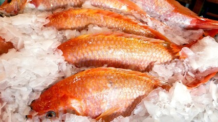 Fresh Red Fish on Ice at Seafood Market
