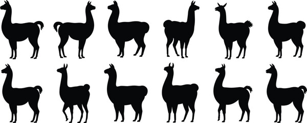 Obraz premium Llama silhouette side pose set, South American camelid vector collection for farm design, textile prints, decor, and graphic illustrations