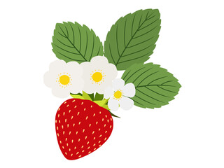 イチゴの素材　A-3