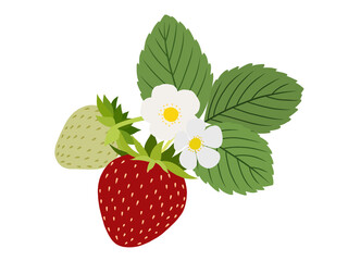 イチゴの素材　A-1