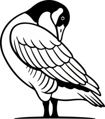 Canada Goose Preening Illustration