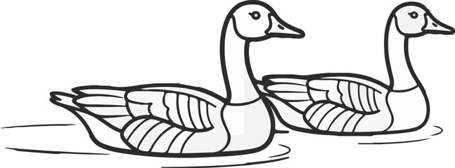 Fototapeta premium Swimming Geese Line Art