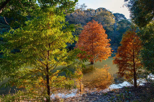 水面に映える色鮮やかな紅葉と湖畔の風景