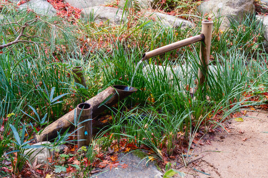 秋の風情を感じる伝統的な添水（ししおどし）と紅葉