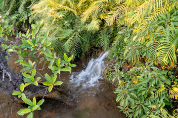 Rushing waterfall adventure in lush green forest nature serene environment close-up view