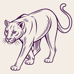 Obraz premium Stalking mountain lion