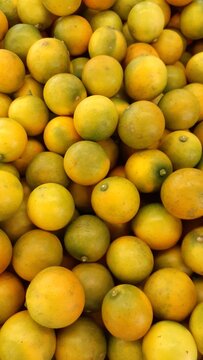 Fresh orange fruit background. Kimkit oranges in market basket. Also known as Triphasia trifolia, Kingkit, jeruk ranti, limau kiah, lime berry, limoncitong kastila.