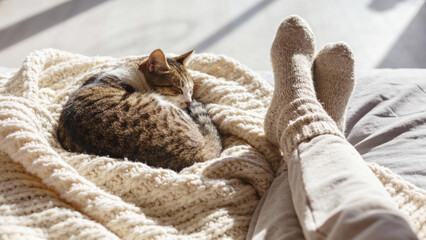 Obraz premium Cozy scene of cat curled up on cream colored blanket next to person wearing wool socks, creating warm and relaxing atmosphere