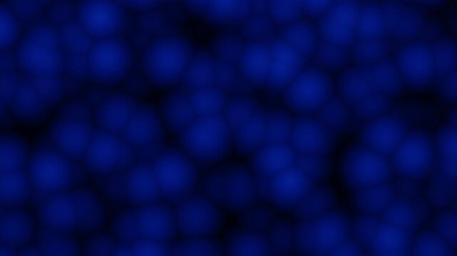 Dark blue abstract cells animation. Microscopic biological pattern or voronoi loop.