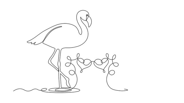 Two loving flamingos and hearts, Valentine's day, love. Self drawing animation one continuous line draw, logo on white background