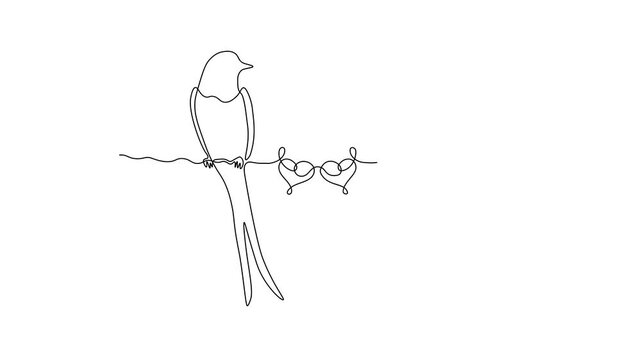 Two loving swallows and hearts, Valentine's day, love. Self drawing animation one continuous line draw, logo on white background