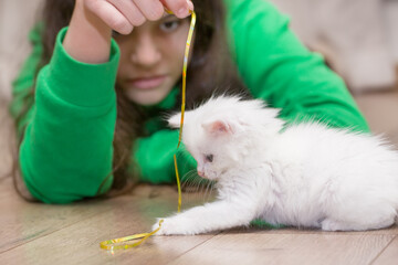 A European girl plays with a white kitten