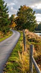 A winding road through a grassy field with trees