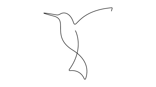 Self animated minimalist illustration of a hummingbird in a continuous line drawing style, Single line art bird animation