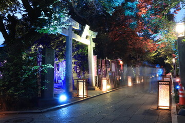 江ノ島にある神社や歩道がライトアップされた夜景
