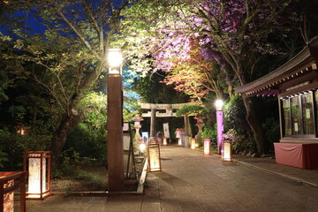 江ノ島にある神社や歩道がライトアップされた夜景
