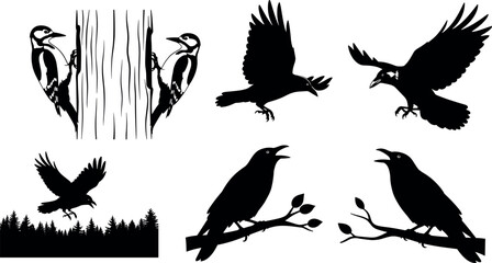 Obraz premium Bird silhouettes collection featuring woodpecker and crow ravens flying perched wildlife shapes isolated on white background for nature design projects