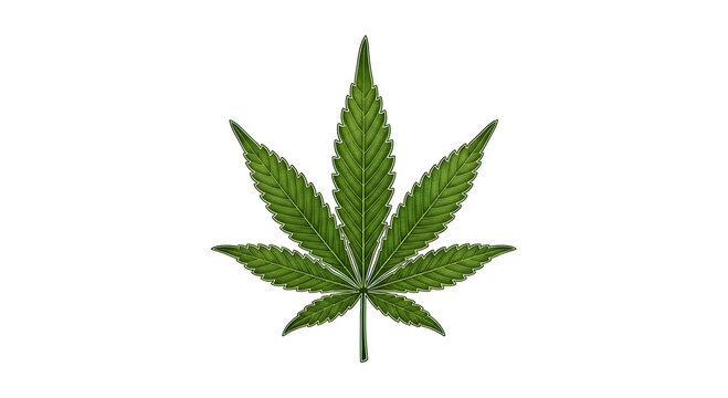 marijuana leaf outline with clean edges, natural green gradients and botanical detail, isolated on white background.