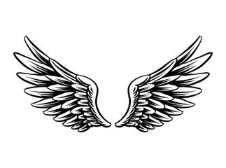 Obraz premium Illustration of Bird Wings for logo and branding element