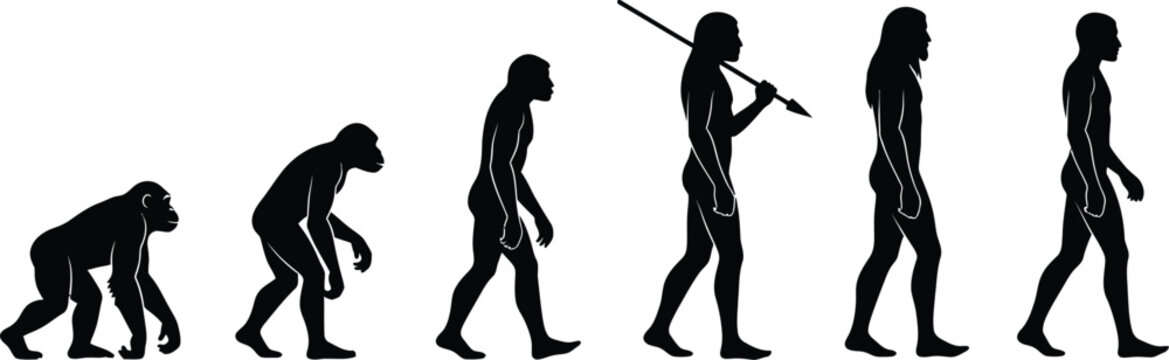 Theory of human evolution. Evolutionary progress from a common ape ancestor to modern humans. Evolution of man, Darwin evolution March of Progress. 