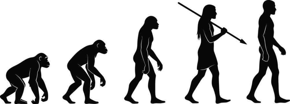 Theory of human evolution. Evolutionary progress from a common ape ancestor to modern humans. Evolution of man, Darwin evolution March of Progress. 