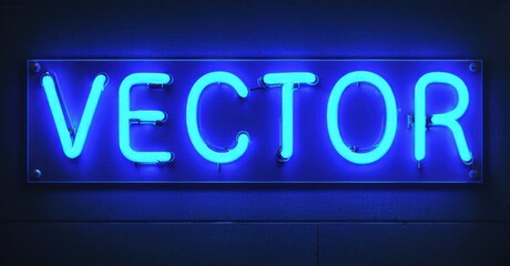 Bright neon sign spells VECTOR. Blue glow illuminates dark wall. Simple design, modern aesthetic, captivating visual impact.