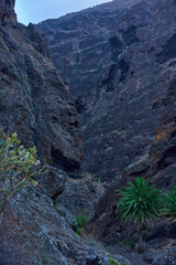 Obraz premium Landscape of Masca canyon