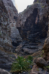 Obraz premium Trail through narrow Masca canyon