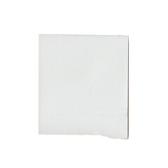 Fototapeta premium Blank White Memo Paper with a Torn Edge