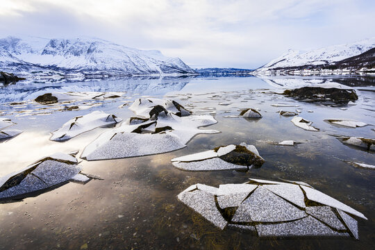 View of jagged ice floes scattered across the tranquil waters, reflecting the snow-capped mountains under a serene sky, Langfjord, Finnmark, Norway.