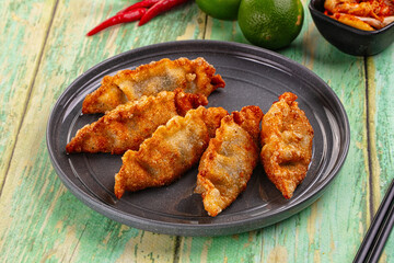 Fototapeta premium Asian fried stuffed dumplings gyoza