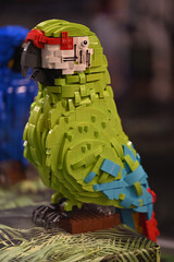 Fototapeta premium LEGO parrot 