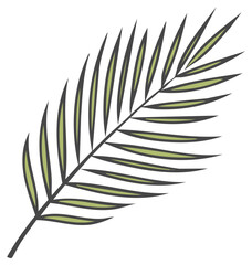 Fototapeta premium Stylized palm leaf illustration. Decorative botanical element for design.
