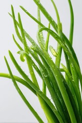 Obraz premium Fresh green chives on a plain white surface with crisp detail