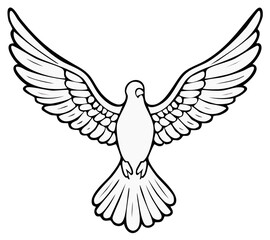 Obraz premium Dove illustration, open wings, black line art, isolated vector design
