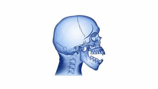 Human skull and neck anatomy in profile, rendered in blue tones