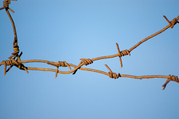 barbed wire close-up against a blue sky