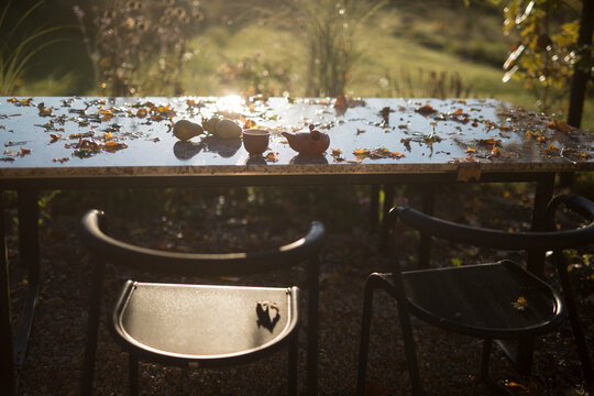Peaceful Autumn Tea Setup with Fallen Leaves on an Outdoor Table at Golden Hour
