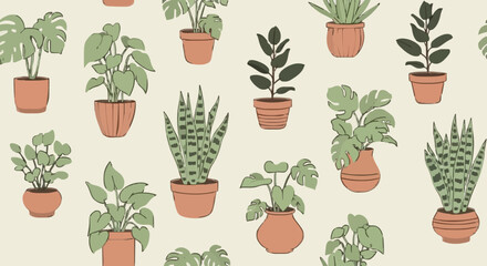 Collection of various potted houseplants in terracotta pots.