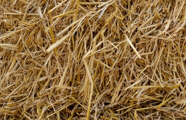 Agricultural Straw Residue as Natural Texture