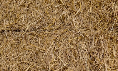 Agricultural Straw Residue After Harvest