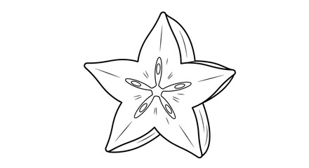 Starfruit Slice Illustration